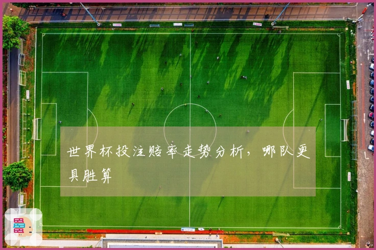 世界杯投注赔率走势分析，哪队更具胜算