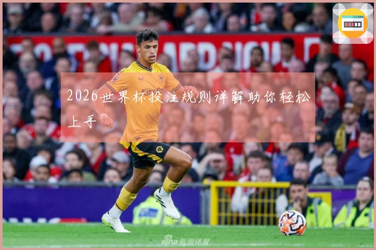 2026世界杯投注规则详解助你轻松上手