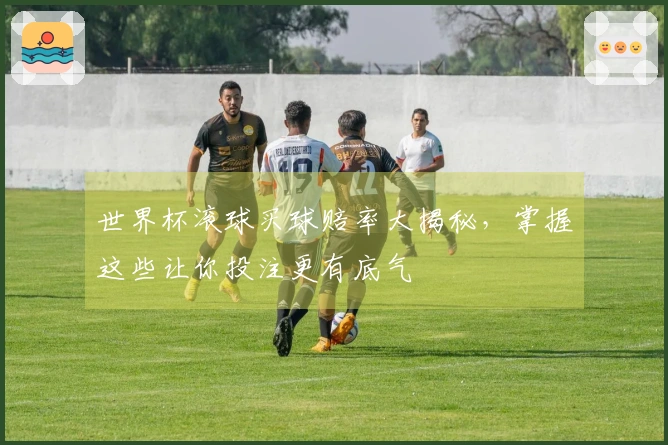 世界杯滚球买球赔率大揭秘，掌握这些让你投注更有底气