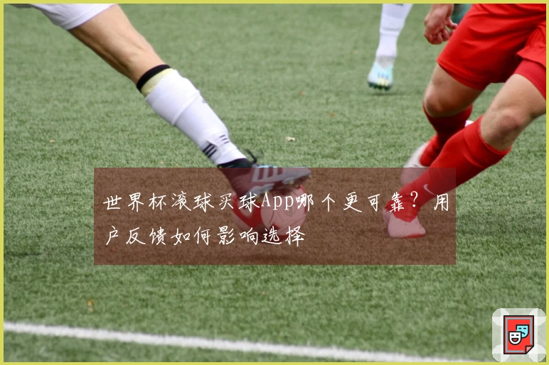 世界杯滚球买球App哪个更可靠？用户反馈如何影响选择